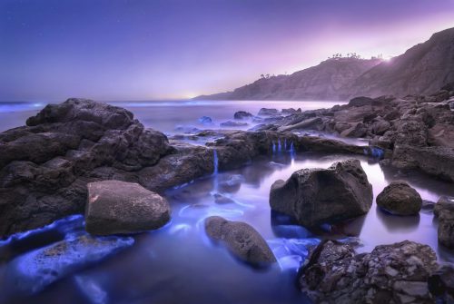 Bioluminescence Tide Pools