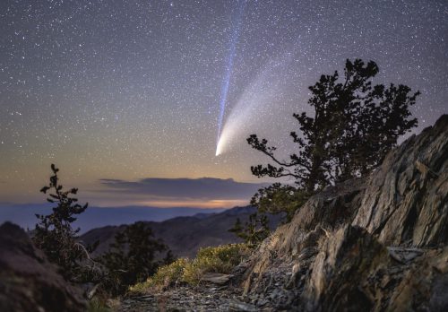 Neowise Comet